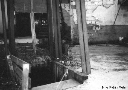 Eingang zum Tunnel